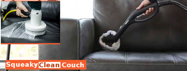 Leather Couch Cleaning 
